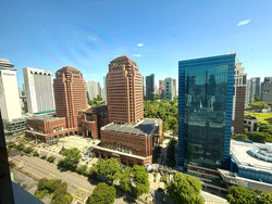 Lucky Plaza (D9), Apartment #572770291